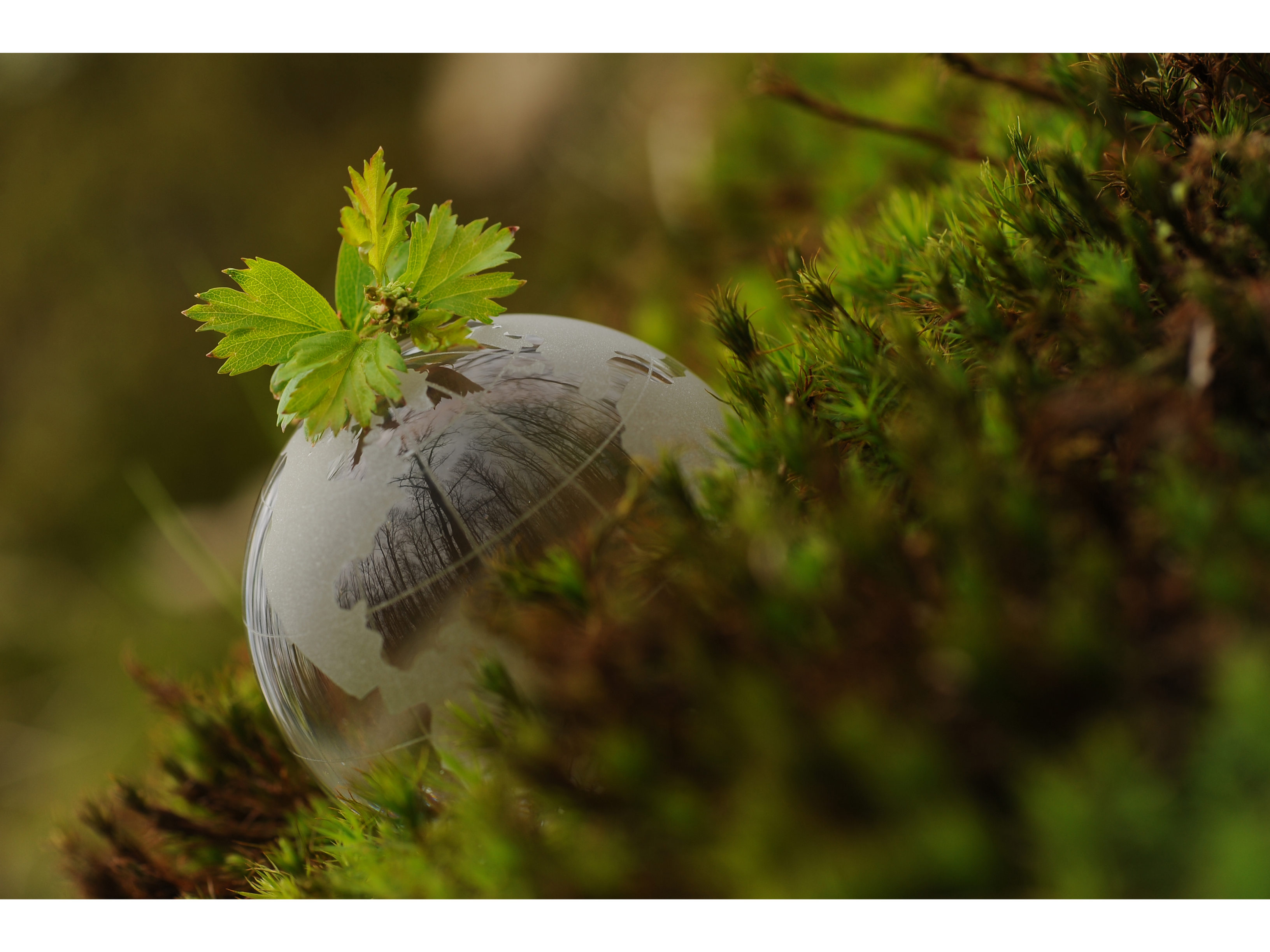 Protection of biodiversity in Greece