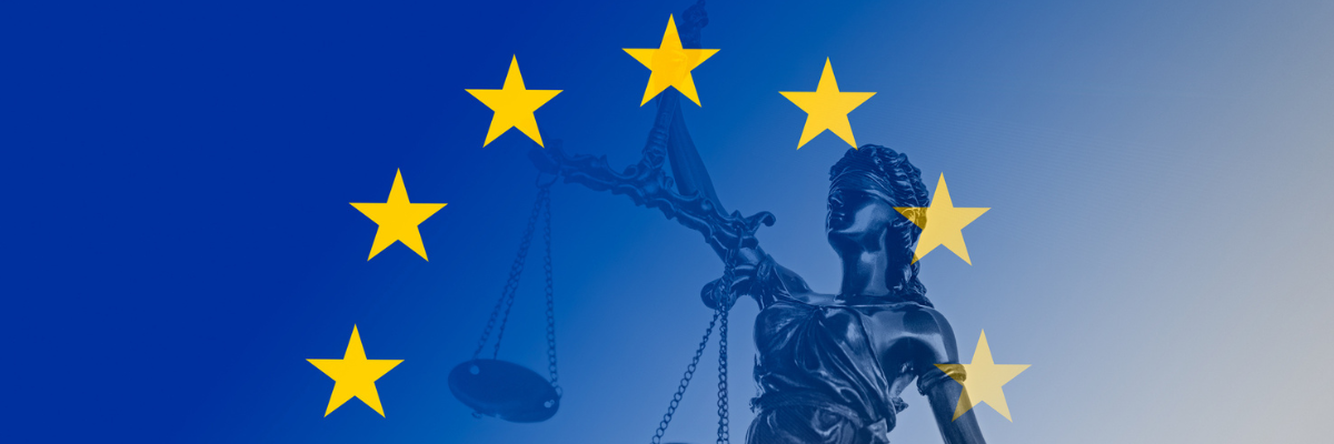 EU law and policies to promote and protect & values as enshrined in the EU treaties & Charter